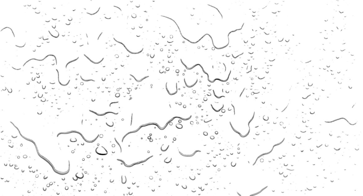 New measures for Legionella in hot water systems -baggrund