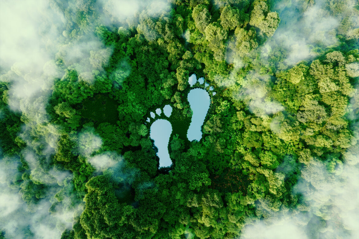 A lake in the shape of human footprints in the middle of a lush Zero emissions