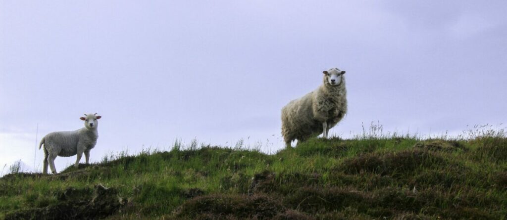 Shetland Isles, photo Wielka Brytania
