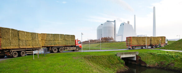 Avedoerevaerket, Copenhagen