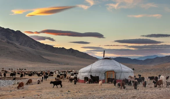 Mongolian family tent situated in one of the Ger areas in Ulaanbaatar