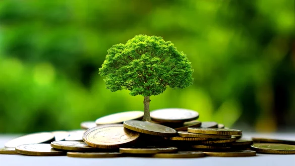 Green budgetary leeway