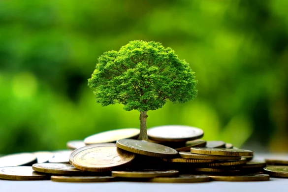 Green budgetary leeway