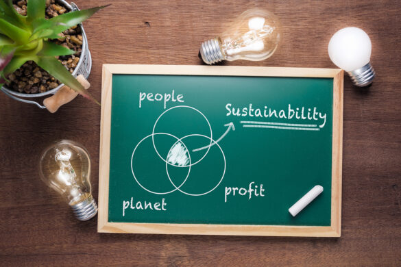 Social Sustainability and DH in Canada