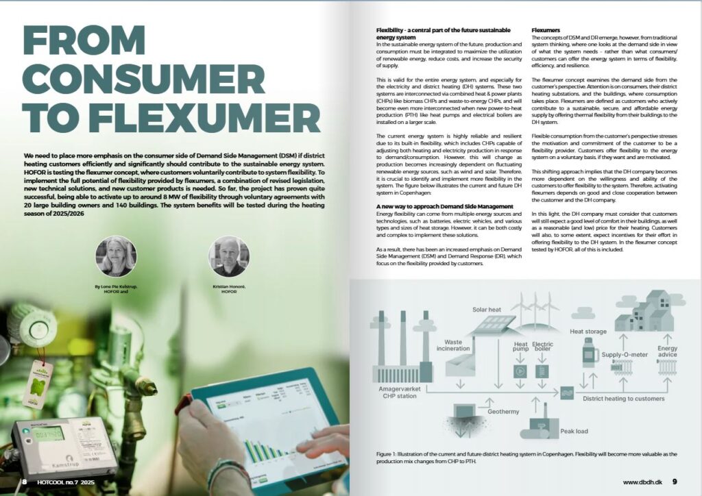 From Consumers to Flexumers_magazine-spread