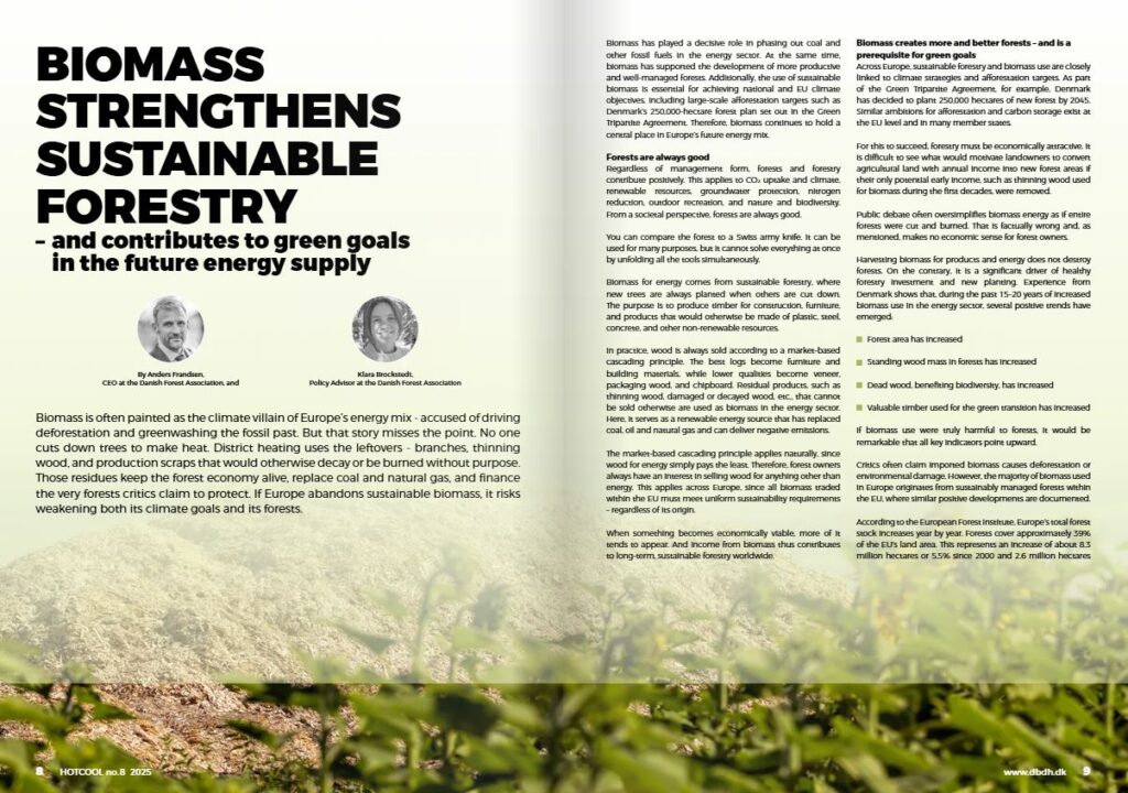 Biomass strengthens sustainable forestry and contributes to green goals in the future energy supply_image