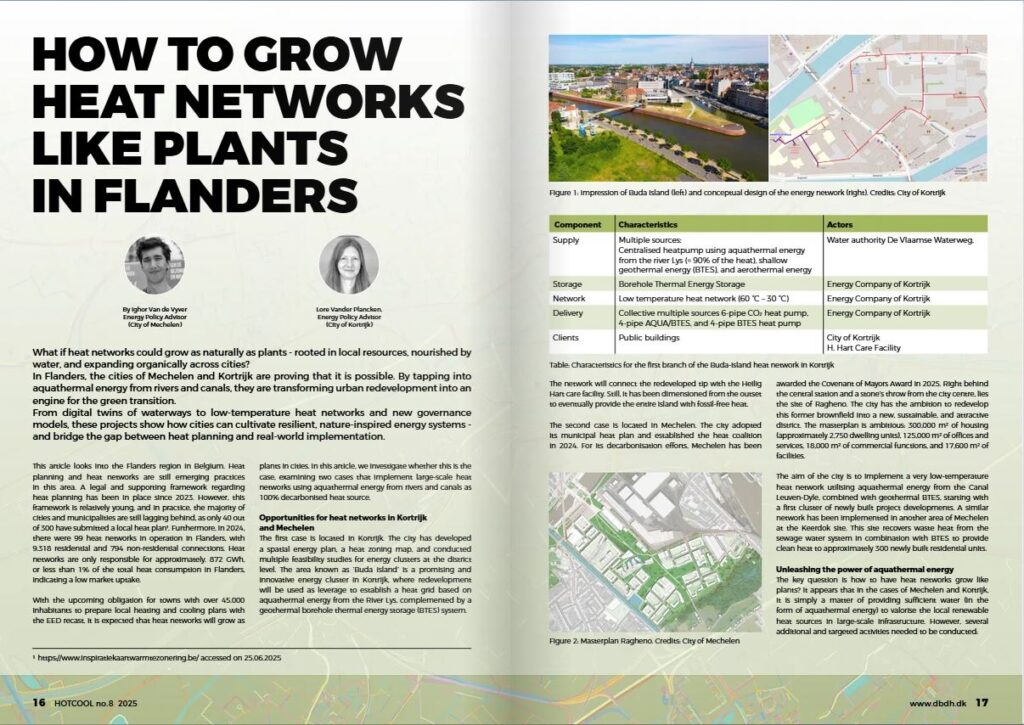 How to Grow Heat Networks like Plants in Flanders_image
