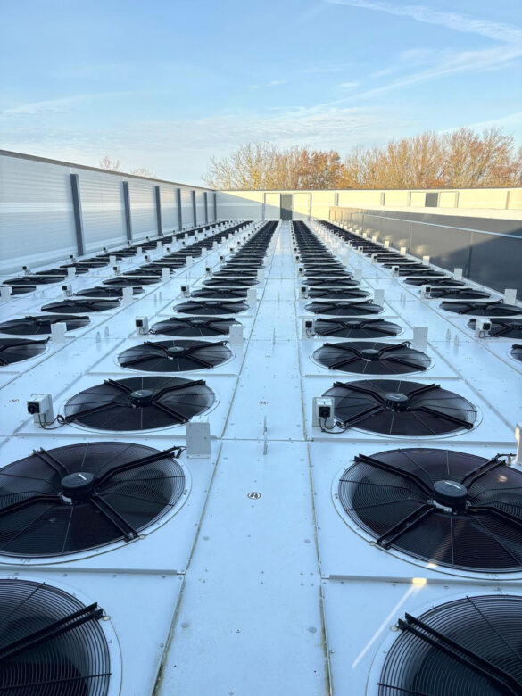 Chinese delegation visit at Assens