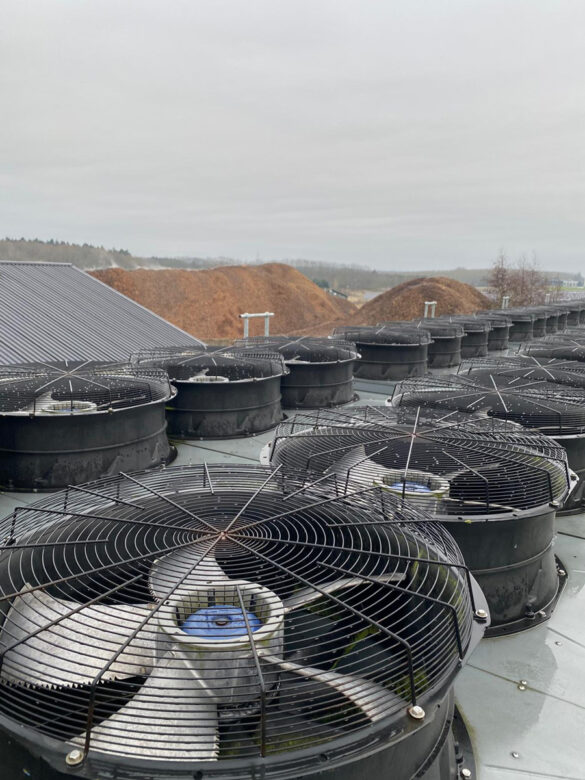 Chinese delegation visit at Assens3