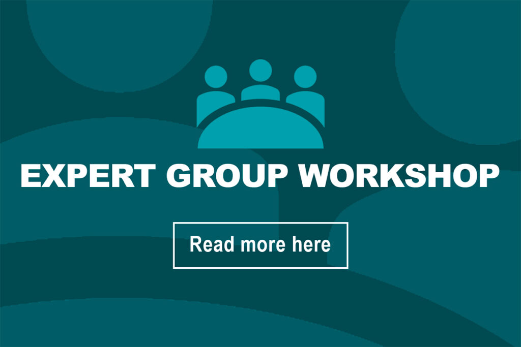 Expert Group Workshop