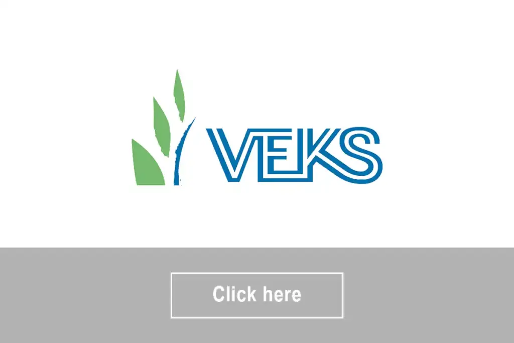 VEKS_box