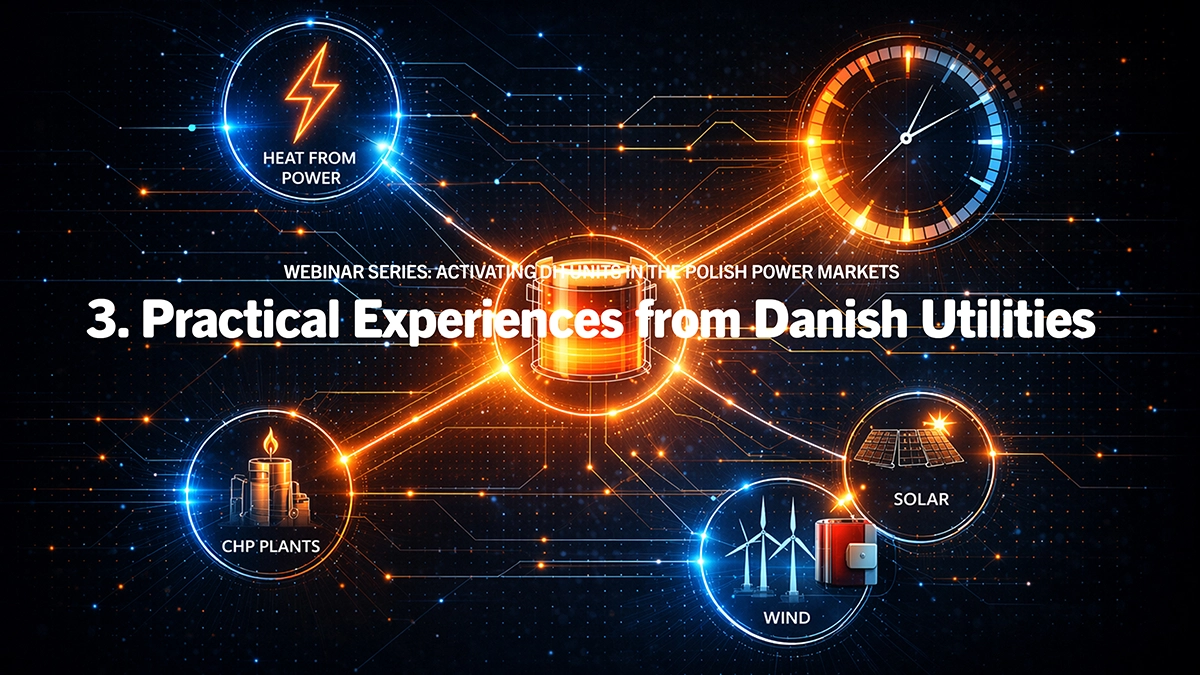 3. slide Practical Experiences from Danish Utilities