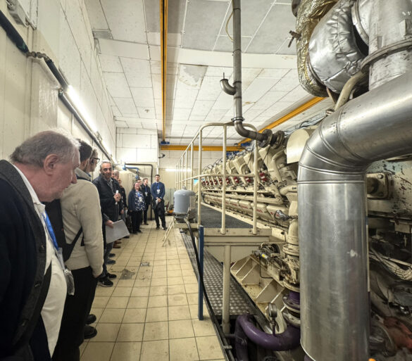 Polish and Danish Experts Meet in Copenhagen to Explore District Heating's Role in Electricity Markets