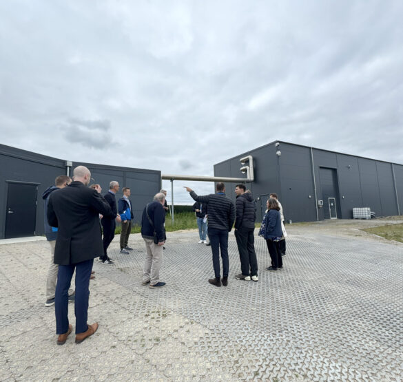Polish and Danish Experts Meet in Copenhagen to Explore District Heating's Role in Electricity Markets