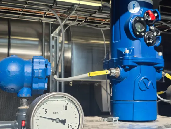 Lessons from Albertslund Utility, Denmark: Low-Temperature District Heating as an Operational Tool